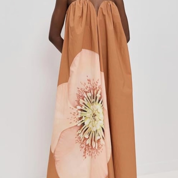 Significant Other 'Shiloh' Maxi Dress in Tangerine Rose (NWT) - Picture 3 of 11